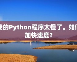 我的Python程序太慢了。如何加快速度？