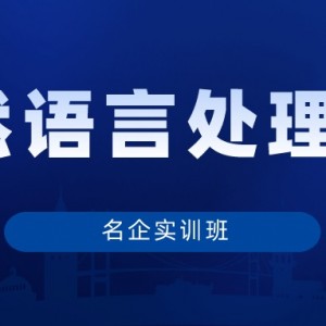 名企实训班自然语言处理方向【导师制】