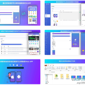 带控制端的网站转换生成APP源码 WebAPP源代码与Flutter项目合集