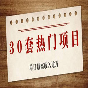 [高端精品] 30套热门项目：单日最高收入过万 (网贝兼项目、朋友圈、涨粉套路、抖音、快手)等！