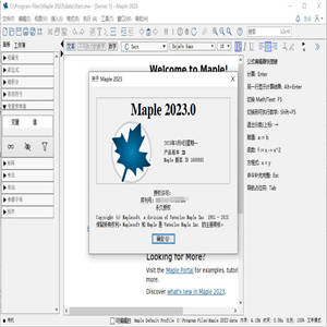 Maplesoft Maple 2023 中文免费激活版(附许可文件+安装教程) x64