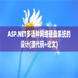 ASP.NET多语种网络硬盘系统的设计(源代码+论文)