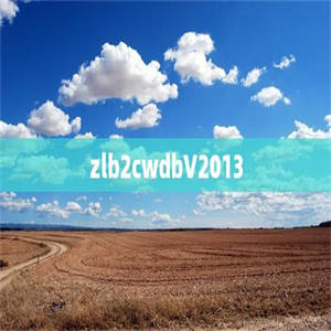 zlb2cwdbV2013