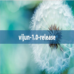 vijun-1.0-release