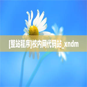 [整站程序]校内网代码站_xndm