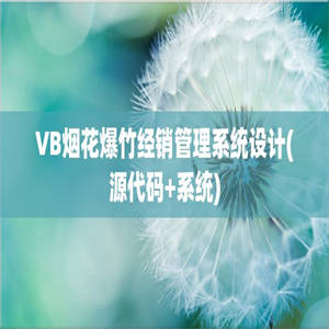 VB烟花爆竹经销管理系统设计(源代码+系统)