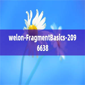 welon-FragmentBasics-2096638