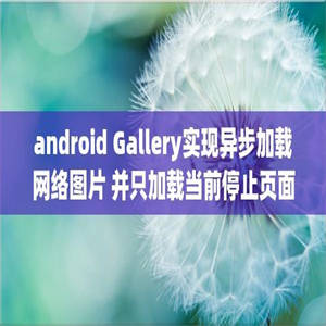 android Gallery实现异步加载网络图片 并只加载当前停止页面图