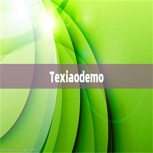 Texiaodemo