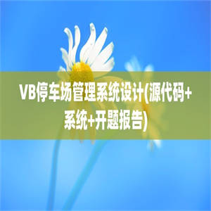 VB停车场管理系统设计(源代码+系统+开题报告)