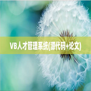 VB人才管理系统(源代码+论文)