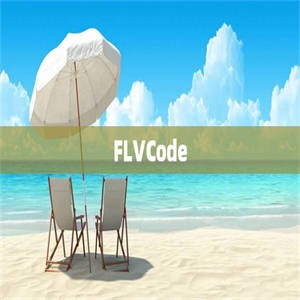 FLVCode