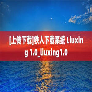 [上传下载]铁人下载系统 Liuxing 1.0_liuxing1.0