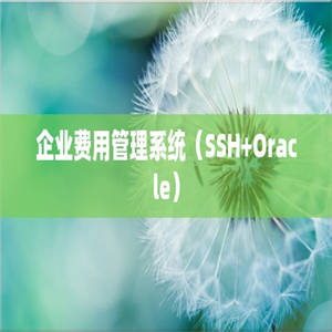 企业费用管理系统（SSH+Oracle）