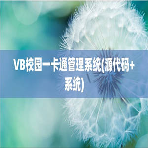 VB校园一卡通管理系统(源代码+系统)