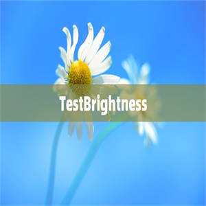 TestBrightness