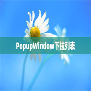 PopupWindow下拉列表