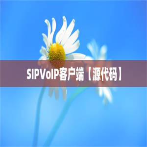 SIPVoIP客户端【源代码】