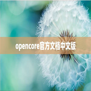 opencore官方文档中文版