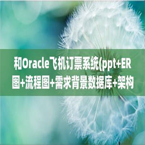 和Oracle飞机订票系统(ppt+ER图+流程图+需求背景数据库+架构说明有lun文视频源码齐全)