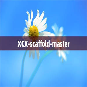 XCX-scaffold-master