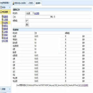 AnyEiP企业内网办公系统 v20200708