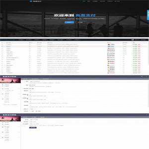 最新支付宝支付包装网银支付宝网关软件PC端监控运营版源码