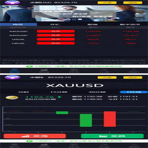 金融外汇美金点位盘货币交易所网站系统源码 带风控功能