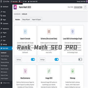 WordPress SEO插件：Rank Math SEO PRO v3.0.1 – 已激活汉化版