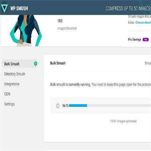 WordPress插件WPSmushProv3.7.0图片上传压缩插件WordPress图像优化插件