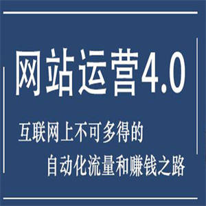 暴疯团队网站赚钱项目4.0:网站运营与盈利 实现流量与盈利自动化的赚钱之路