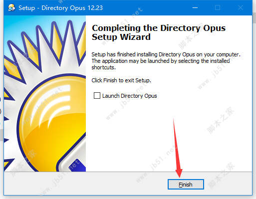 Directory Opus Pro下载