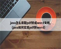 java怎么读取pdf转成word文档,（java如何实现pdf转word）