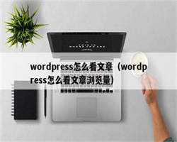 wordpress怎么看文章（wordpress怎么看文章浏览量）