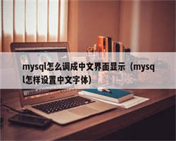 mysql怎么调成中文界面显示（mysql怎样设置中文字体）