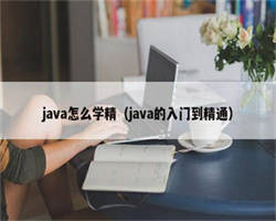 java怎么学精（java的入门到精通）