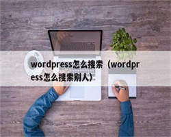 wordpress怎么搜索（wordpress怎么搜索别人）