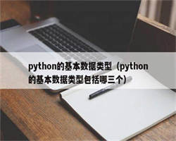 python的基本数据类型（python的基本数据类型包括哪三个）