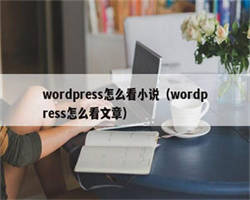 wordpress怎么看小说（wordpress怎么看文章）