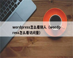 wordpress怎么看别人（wordpress怎么看访问量）