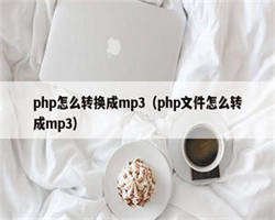 php怎么转换成mp3（php文件怎么转成mp3）