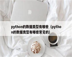 python的数据类型有哪些（python的数据类型有哪些常见的）