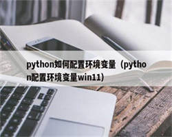 python如何配置环境变量（python配置环境变量win11）