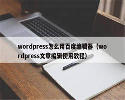 wordpress怎么用百度编辑器（wordpress文章编辑使用教程）