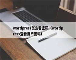 wordpress怎么看密码（wordpress查看用户密码）