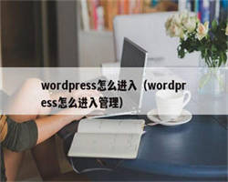 wordpress怎么进入（wordpress怎么进入管理）