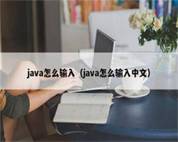 java怎么输入（java怎么输入中文）