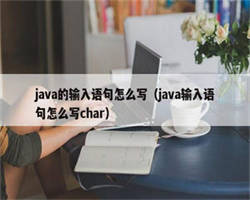 java的输入语句怎么写（java输入语句怎么写char）