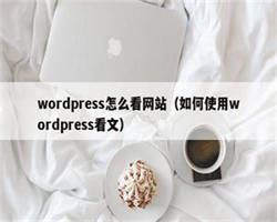 wordpress怎么看网站（如何使用wordpress看文）