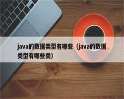 java的数据类型有哪些（java的数据类型有哪些类）